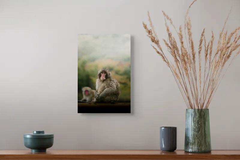 Tablou Canvas, "Maimuțe odihnindu-se în natură", Maimuță, Blană, Natură, Toamnă, Privire, Relaxează, Singurătate, Culori, Pădure, Vreme, Dulceagă, Observație, 26 x 39 cm – poza 5