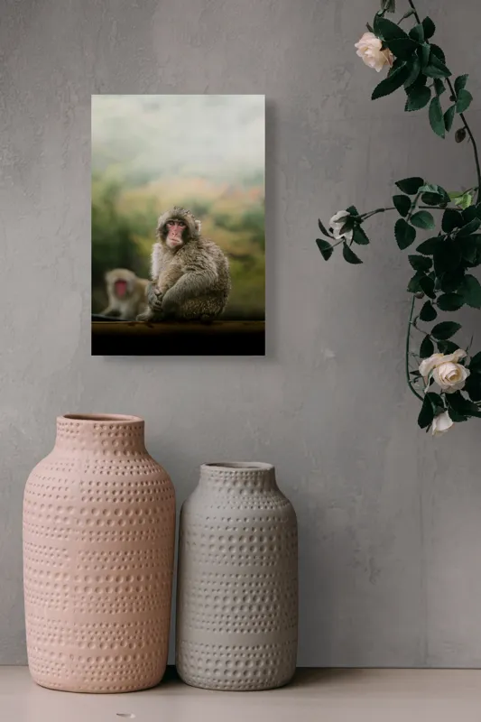 Tablou Canvas, "Maimuțe odihnindu-se în natură", Maimuță, Blană, Natură, Toamnă, Privire, Relaxează, Singurătate, Culori, Pădure, Vreme, Dulceagă, Observație, 26 x 39 cm – poza 6