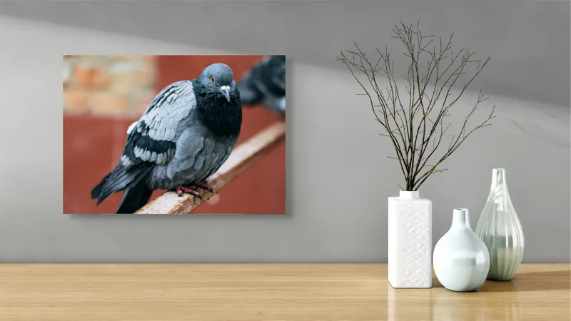 Tablou Canvas, "Porumbel solitar pe ramură ruginită", Pigeon, Feathers, Urban, Rail, Perched, 54 x 39 cm – poza 3