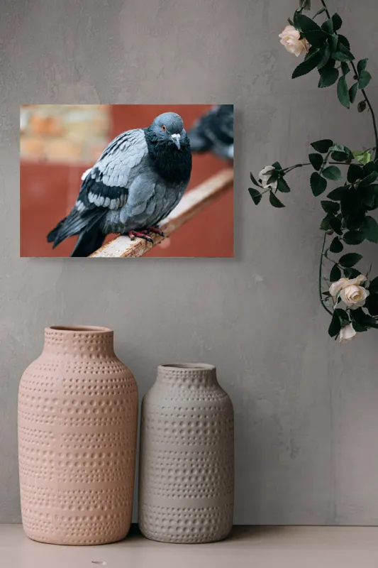Tablou Canvas, "Porumbel solitar pe ramură ruginită", Pigeon, Feathers, Urban, Rail, Perched, 54 x 39 cm – poza 8