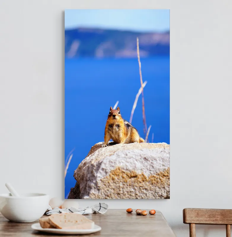 Tablou Canvas, "Veveriță curajoasă pe stâncă albastră", Chipmunk, Rocă, Albastru, Cer, Apă, Vedere, Natură, Curiozitate, 50 x 90 cm – poza 3