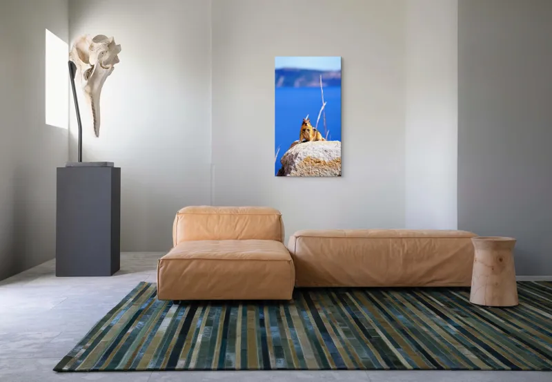 Tablou Canvas, "Veveriță curajoasă pe stâncă albastră", Chipmunk, Rocă, Albastru, Cer, Apă, Vedere, Natură, Curiozitate, 50 x 90 cm – poza 5