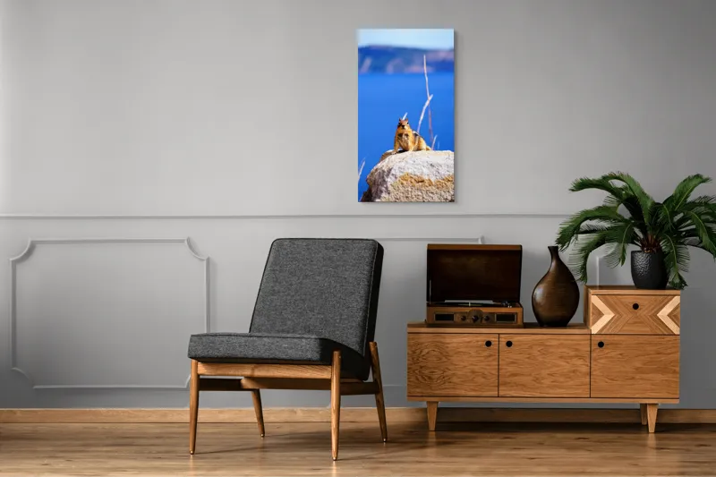 Tablou Canvas, "Veveriță curajoasă pe stâncă albastră", Chipmunk, Rocă, Albastru, Cer, Apă, Vedere, Natură, Curiozitate, 50 x 90 cm – poza 8