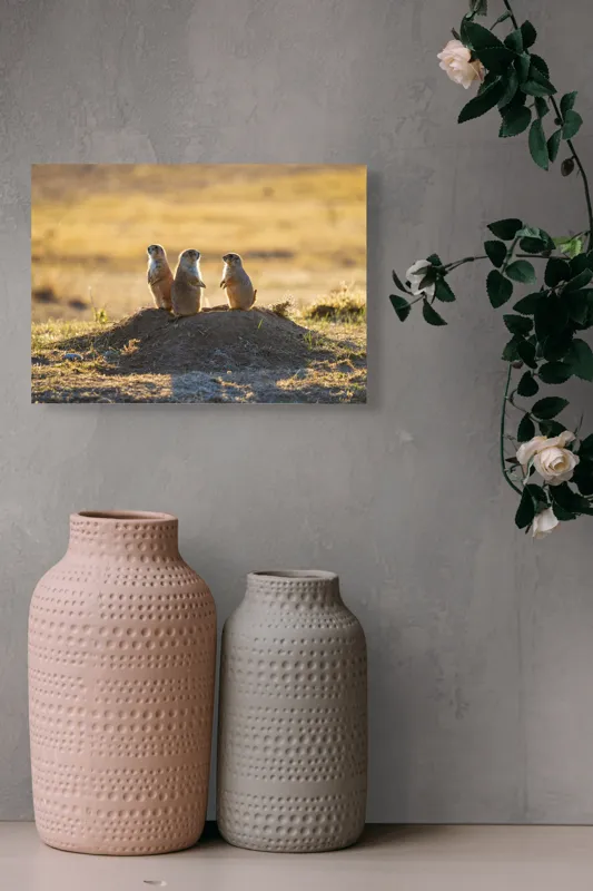 Tablou Canvas, "Suricatele veghează de pe movilă", Suricate, Deal, Apus, Veghe, Natură, Căldură, Serenitate, Pază, Peisaj, 54 x 39 cm – poza 8