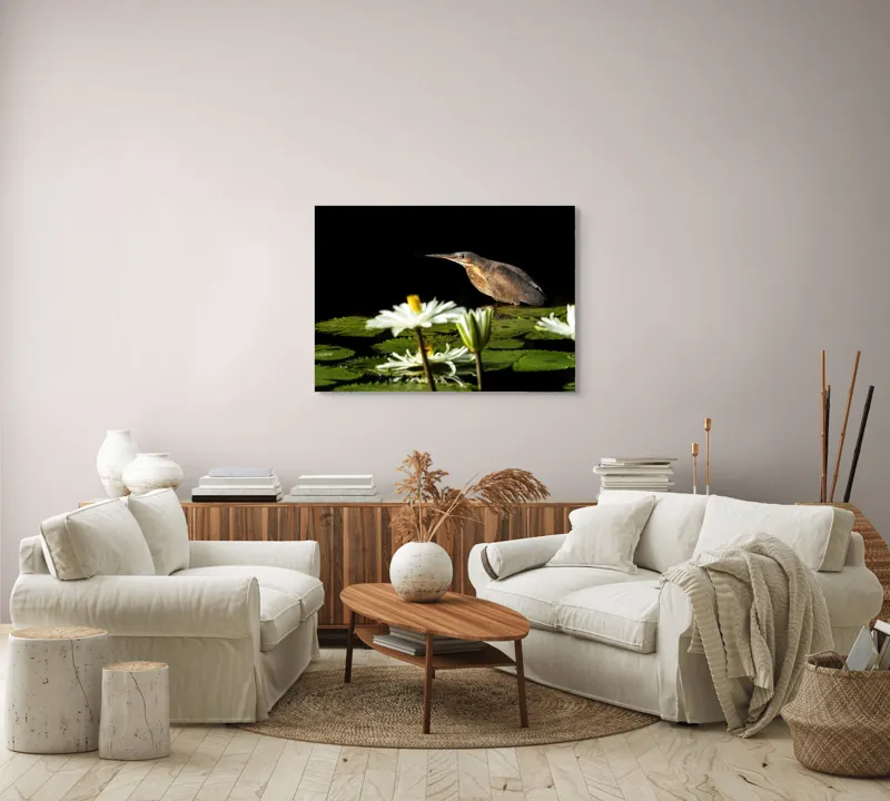 Tablou Canvas, "Pasărea contemplând liniștea lacului", Pasăre, Nufăr, Apele, Verde, Lumină, Natură, Reflexie, Serenitate, Contrast, Frumusețe., 100 x 70 cm – poza 3