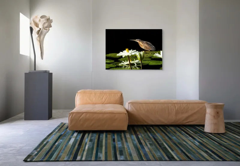 Tablou Canvas, "Pasărea contemplând liniștea lacului", Pasăre, Nufăr, Apele, Verde, Lumină, Natură, Reflexie, Serenitate, Contrast, Frumusețe., 100 x 70 cm – poza 7