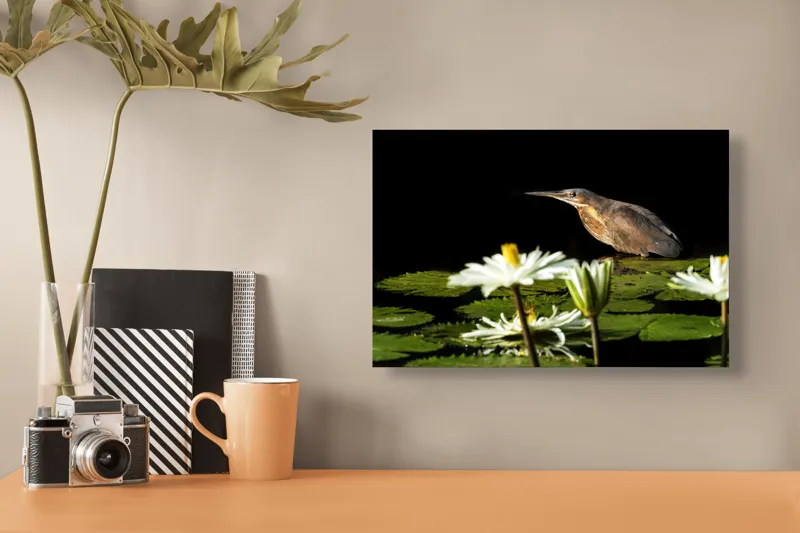 Tablou Canvas, "Pasărea contemplând liniștea lacului", Pasăre, Nufăr, Apele, Verde, Lumină, Natură, Reflexie, Serenitate, Contrast, Frumusețe., 39 x 26 cm – poza 3