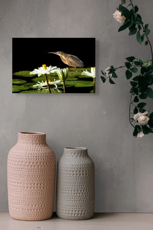 Tablou Canvas, "Pasărea contemplând liniștea lacului", Pasăre, Nufăr, Apele, Verde, Lumină, Natură, Reflexie, Serenitate, Contrast, Frumusețe., 39 x 26 cm – poza 4