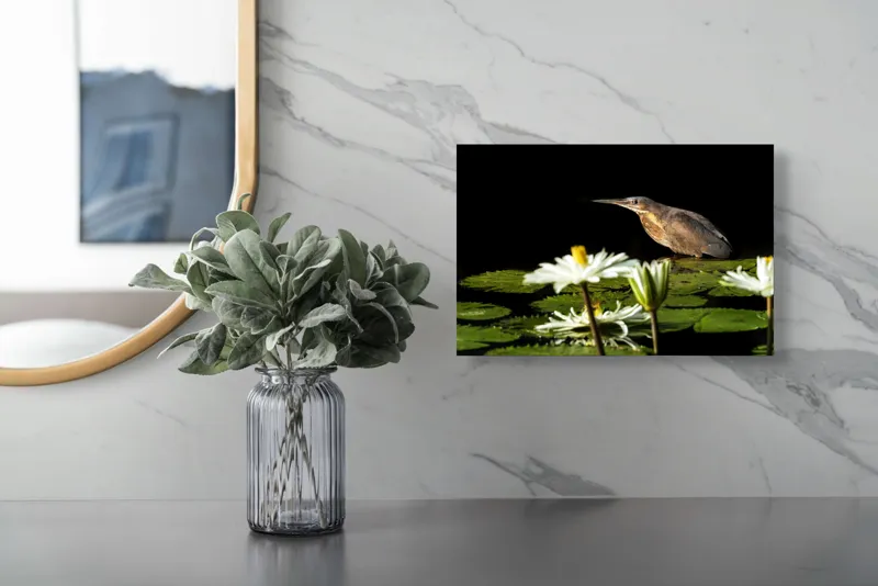 Tablou Canvas, "Pasărea contemplând liniștea lacului", Pasăre, Nufăr, Apele, Verde, Lumină, Natură, Reflexie, Serenitate, Contrast, Frumusețe., 39 x 26 cm – poza 5