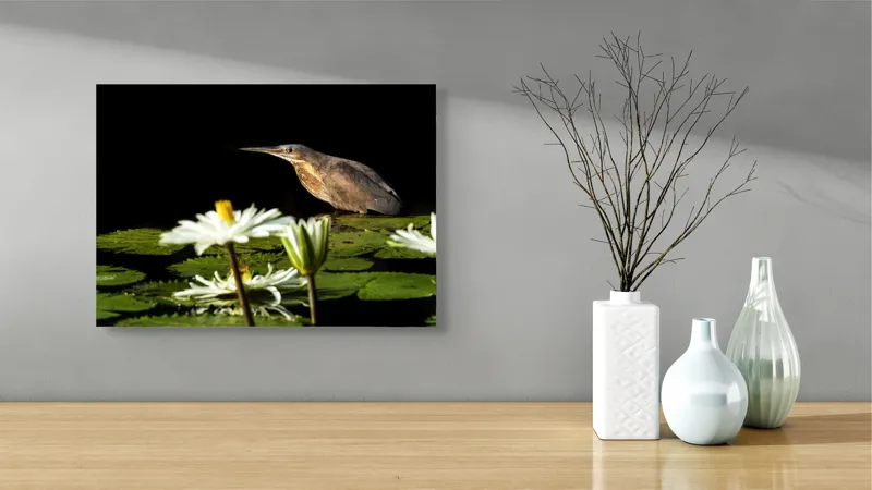 Tablou Canvas, "Pasărea contemplând liniștea lacului", Pasăre, Nufăr, Apele, Verde, Lumină, Natură, Reflexie, Serenitate, Contrast, Frumusețe., 54 x 39 cm – poza 3
