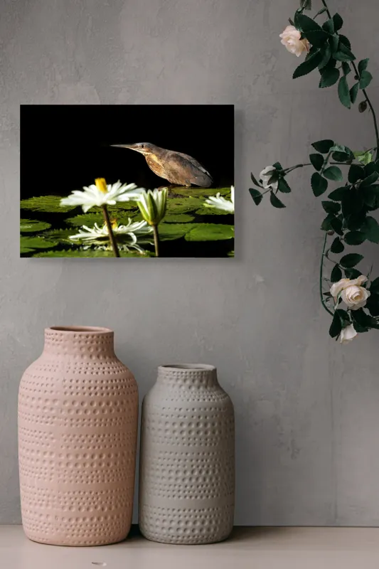 Tablou Canvas, "Pasărea contemplând liniștea lacului", Pasăre, Nufăr, Apele, Verde, Lumină, Natură, Reflexie, Serenitate, Contrast, Frumusețe., 54 x 39 cm – poza 8