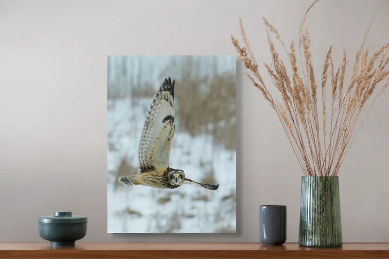 Tablou Canvas, "Bufnița zborului de iarnă", Bufniță, Aripi, Cer, Privire, Zbor, Natură, Iarnă, Pene, Nocturnă, Blană., 39 x 54 cm – poza 3