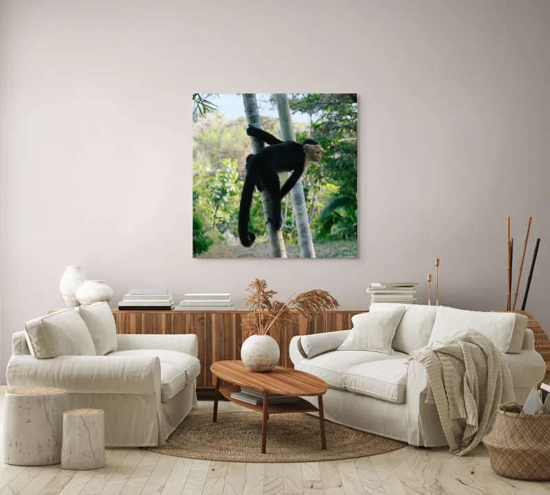 Tablou Canvas, "Maimuța curioasă printre copaci verzi", 100 x 100 cm – poza 3