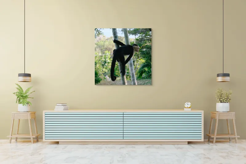 Tablou Canvas, "Maimuța curioasă printre copaci verzi", 100 x 100 cm – poza 5
