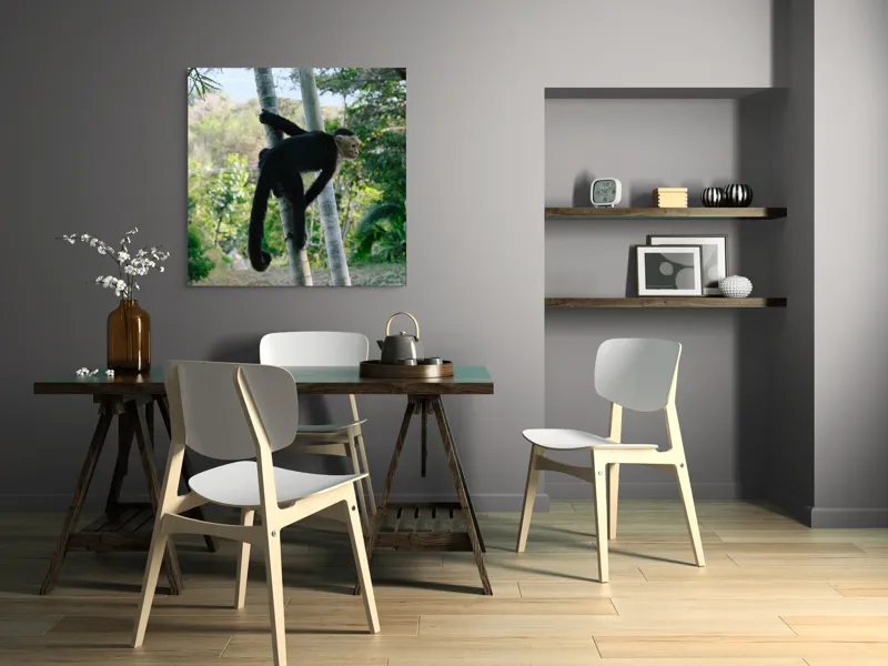 Tablou Canvas, "Maimuța curioasă printre copaci verzi", 100 x 100 cm – poza 6