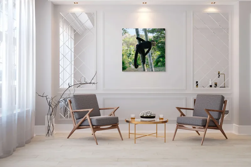 Tablou Canvas, "Maimuța curioasă printre copaci verzi", 100 x 100 cm – poza 7