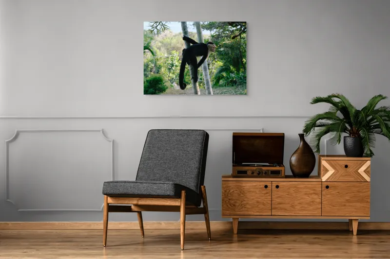 Tablou Canvas, "Maimuța curioasă printre copaci verzi", 100 x 70 cm – poza 8