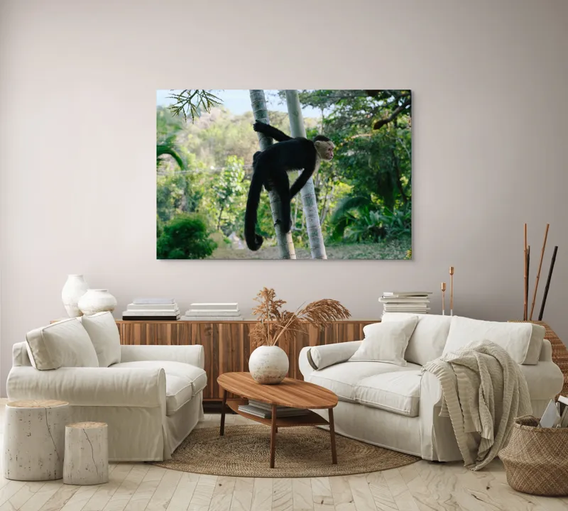 Tablou Canvas, "Maimuța curioasă printre copaci verzi", 150 x 100 cm – poza 3