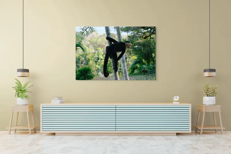 Tablou Canvas, "Maimuța curioasă printre copaci verzi", 150 x 100 cm – poza 6