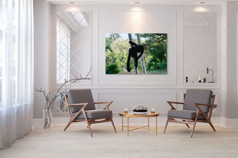 Tablou Canvas, "Maimuța curioasă printre copaci verzi", 150 x 100 cm – poza 7