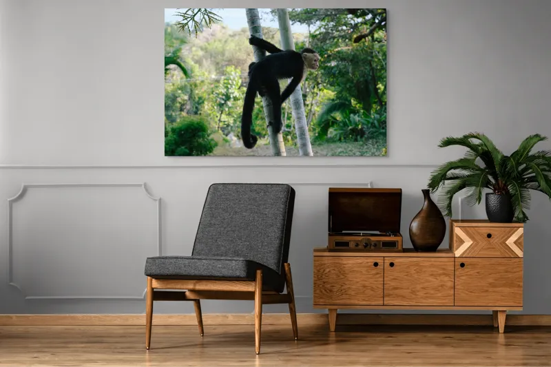 Tablou Canvas, "Maimuța curioasă printre copaci verzi", 150 x 100 cm – poza 8