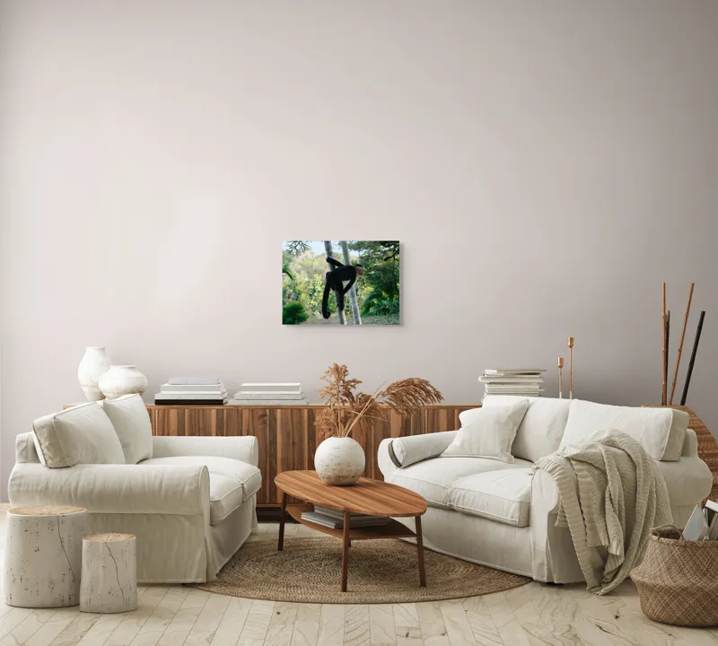 Tablou Canvas, "Maimuța curioasă printre copaci verzi", 54 x 39 cm – poza 5
