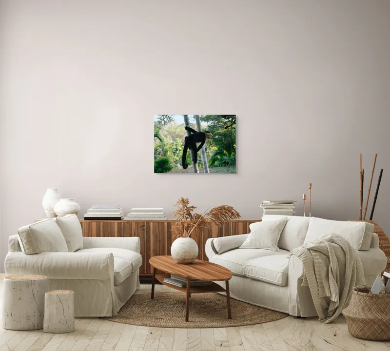 Tablou Canvas, "Maimuța curioasă printre copaci verzi", 70 x 50 cm – poza 6