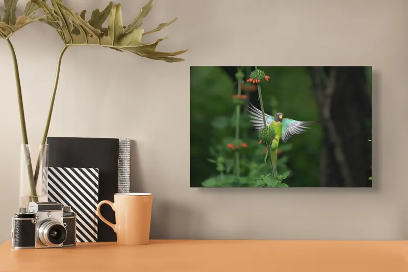 Tablou Canvas Papagal în zbor printre flori verzi Natură Grădină, 39 x 26 cm – poza 3