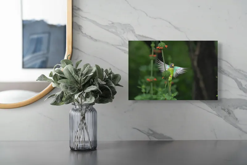 Tablou Canvas Papagal în zbor printre flori verzi Natură Grădină, 39 x 26 cm – poza 5