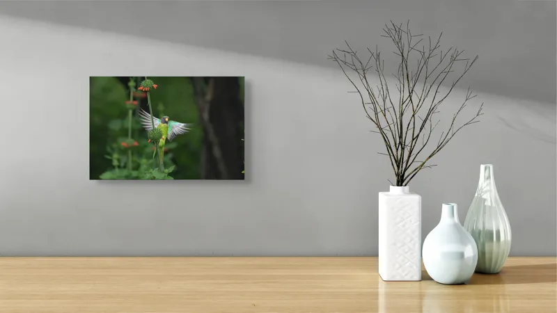 Tablou Canvas Papagal în zbor printre flori verzi Natură Grădină, 39 x 26 cm – poza 8