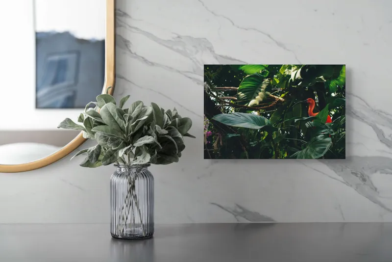 Tablou Canvas, "Pasăre roșie în jungla verde", Scarlat, Lumină, Frunze, Tropical, Păsare, Verde, Junglă, Umbră, 39 x 26 cm – poza 5