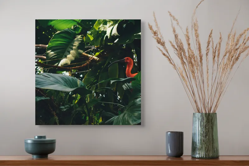 Tablou Canvas, "Pasăre roșie în jungla verde", Scarlat, Lumină, Frunze, Tropical, Păsare, Verde, Junglă, Umbră, 50 x 50 cm – poza 4