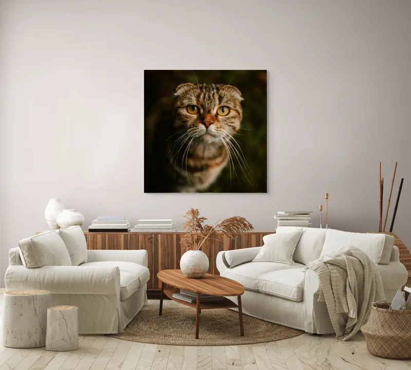 Tablou Canvas, "Pisica cu privire curioasă", Pisică, Blană, Ochi, Mustăți, Privire, Drăgălășenie, Natură, Fundal Verde, 100 x 100 cm – poza 3