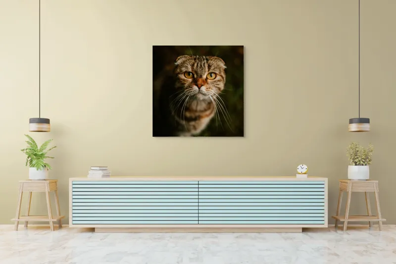 Tablou Canvas, "Pisica cu privire curioasă", Pisică, Blană, Ochi, Mustăți, Privire, Drăgălășenie, Natură, Fundal Verde, 100 x 100 cm – poza 5