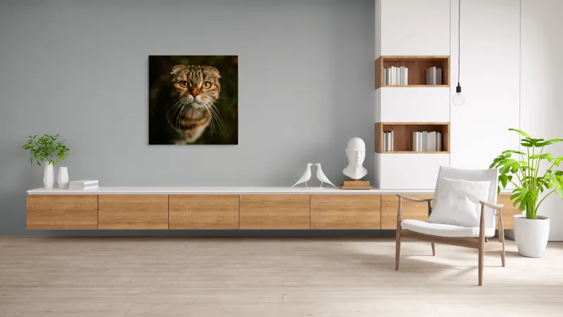 Tablou Canvas, "Pisica cu privire curioasă", Pisică, Blană, Ochi, Mustăți, Privire, Drăgălășenie, Natură, Fundal Verde, 100 x 100 cm – poza 8