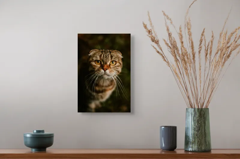 Tablou Canvas, "Pisica cu privire curioasă", Pisică, Blană, Ochi, Mustăți, Privire, Drăgălășenie, Natură, Fundal Verde, 26 x 39 cm – poza 5