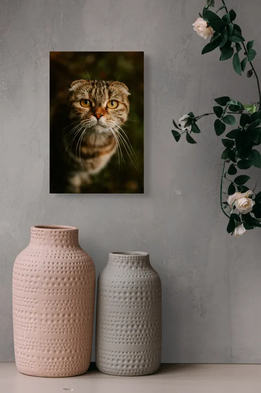 Tablou Canvas, "Pisica cu privire curioasă", Pisică, Blană, Ochi, Mustăți, Privire, Drăgălășenie, Natură, Fundal Verde, 26 x 39 cm – poza 6