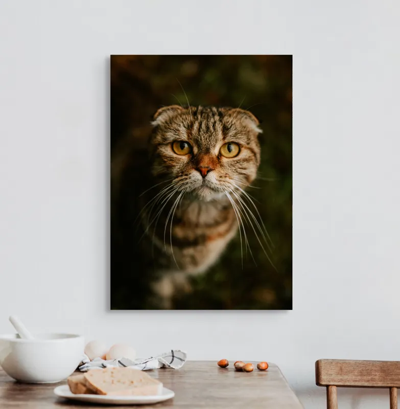 Tablou Canvas, "Pisica cu privire curioasă", Pisică, Blană, Ochi, Mustăți, Privire, Drăgălășenie, Natură, Fundal Verde, 50 x 70 cm – poza 3