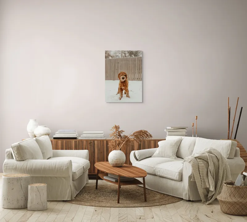 Tablou Canvas, "Câinele de companie în zăpadă albă", Câine, Zăpadă, Gard, Iarnă, Ninge, Blană Creață, Curte, Copac Barest, 50 x 70 cm – poza 4