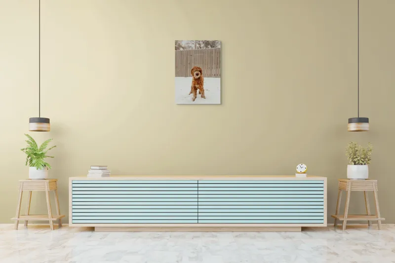 Tablou Canvas, "Câinele de companie în zăpadă albă", Câine, Zăpadă, Gard, Iarnă, Ninge, Blană Creață, Curte, Copac Barest, 50 x 70 cm – poza 6