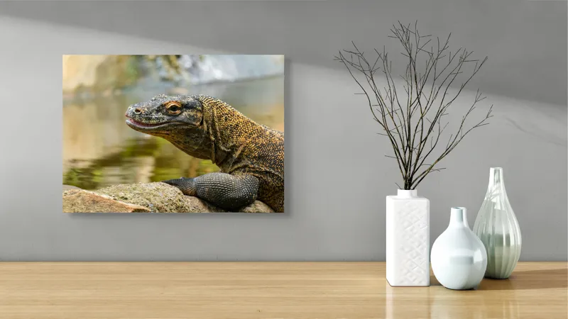 Tablou Canvas, "Dragonul de Komodo contemplând natura", Dragon, Textură, Reptilă, Natură, Apă, Scăldat, Solzi, Privire, Ambient, Peisaj, 54 x 39 cm – poza 3