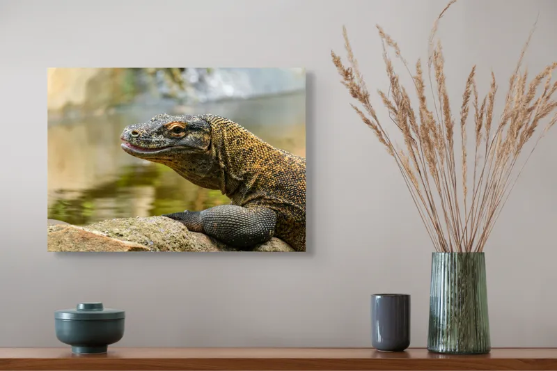 Tablou Canvas, "Dragonul de Komodo contemplând natura", Dragon, Textură, Reptilă, Natură, Apă, Scăldat, Solzi, Privire, Ambient, Peisaj, 54 x 39 cm – poza 4