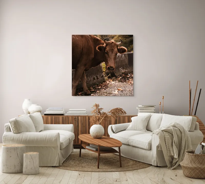 Tablou Canvas, "Vaca privind spre apusul toamnei", Vacă, Brunet, Peisaj, Căldură, Natură, Frunze, Potecă, 100 x 100 cm – poza 3