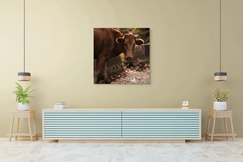 Tablou Canvas, "Vaca privind spre apusul toamnei", Vacă, Brunet, Peisaj, Căldură, Natură, Frunze, Potecă, 100 x 100 cm – poza 5