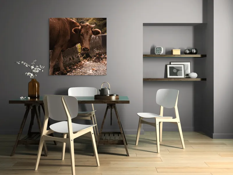Tablou Canvas, "Vaca privind spre apusul toamnei", Vacă, Brunet, Peisaj, Căldură, Natură, Frunze, Potecă, 100 x 100 cm – poza 6