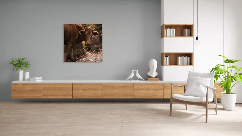 Tablou Canvas, "Vaca privind spre apusul toamnei", Vacă, Brunet, Peisaj, Căldură, Natură, Frunze, Potecă, 100 x 100 cm – poza 8