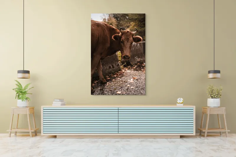 Tablou Canvas, "Vaca privind spre apusul toamnei", Vacă, Brunet, Peisaj, Căldură, Natură, Frunze, Potecă, 100 x 150 cm – poza 4