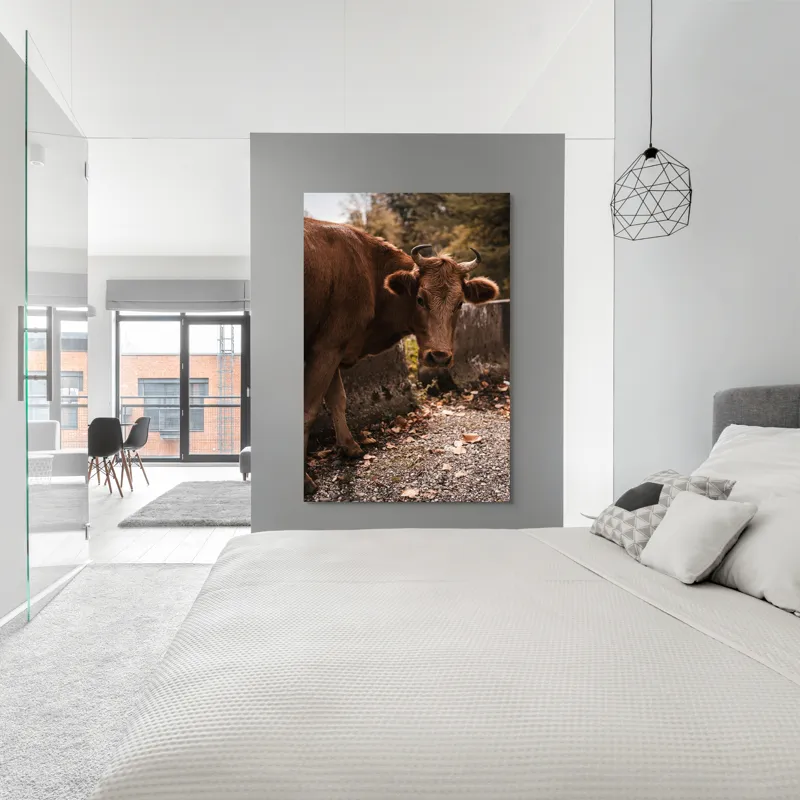 Tablou Canvas, "Vaca privind spre apusul toamnei", Vacă, Brunet, Peisaj, Căldură, Natură, Frunze, Potecă, 100 x 150 cm – poza 5