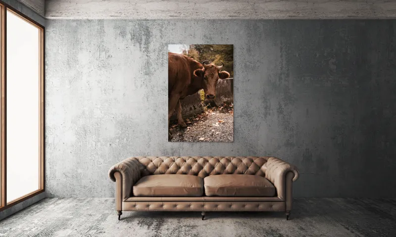Tablou Canvas, "Vaca privind spre apusul toamnei", Vacă, Brunet, Peisaj, Căldură, Natură, Frunze, Potecă, 100 x 150 cm – poza 6