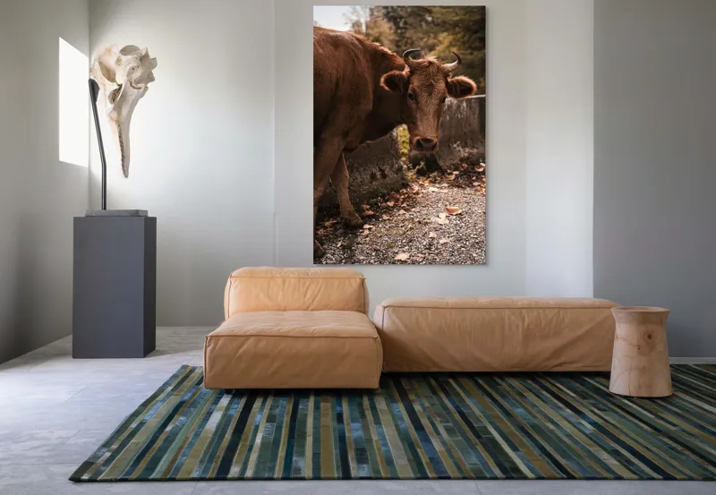 Tablou Canvas, "Vaca privind spre apusul toamnei", Vacă, Brunet, Peisaj, Căldură, Natură, Frunze, Potecă, 100 x 150 cm – poza 7